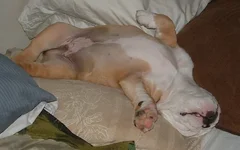 DSCF0592.webp