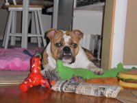 Picture's of Xmas 155.jpg