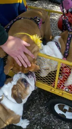 040.webp 040.webp
