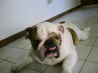 Picture0050.webp