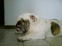 Picture0051.webp