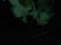 imagejpeg_2_31.jpg imagejpeg_2_31.jpg