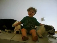 Picture0091.webp