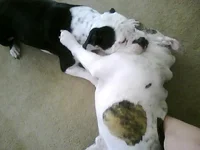 Picture0104.webp
