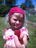 razzberry time 014.webp
