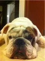 smile.webp