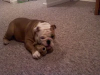 0109012143.webp