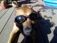 Ace 2-22-11.jpg