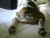 Picture0127.webp
