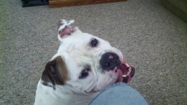 2011-09-28_17-32-45_468.jpg 2011-09-28_17-32-45_468.jpg