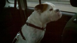 2011-10-01_18-13-30_831.jpg 2011-10-01_18-13-30_831.jpg