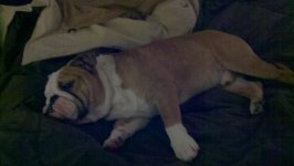 2011-09-30_08-17-29_430.jpg 2011-09-30_08-17-29_430.jpg