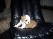 100_1403[1].webp
