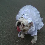 greta.webp