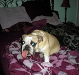 DSCN1233.webp