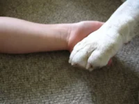 best friends 004.webp