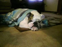 Picture0134.webp