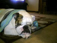 Picture0132.webp