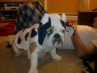 photo.webp