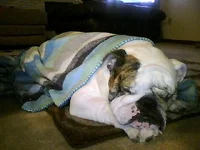 Picture0133.webp