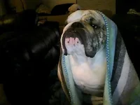 Picture0131.webp