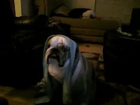 Picture0130.webp