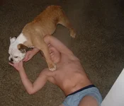 fight (1).webp