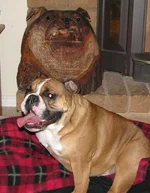 bailey carving 013.webp