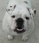 BabyGirl Cropped.webp