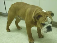 DSCF0878.webp