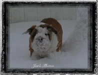 jen's photos.webp