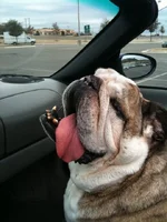 beef and the porsche.webp