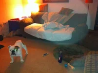 IMG_1520.webp IMG_1520.webp