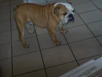 100_1150[1].webp