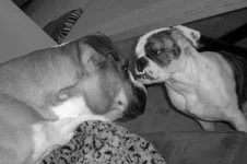 Kids Again! 062.webp