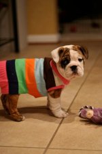 hailey_sweater.jpg