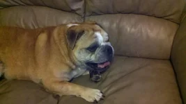 2011-10-05_12-03-16_0.webp 2011-10-05_12-03-16_0.webp