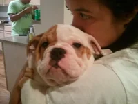 baby boo!.webp