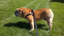 2011-10-07_13-10-09_64.webp 2011-10-07_13-10-09_64.webp