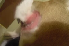 CIMG2234.webp