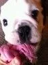 macy5.webp