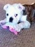 Macy6.webp