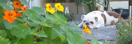 mable.cropped..webp