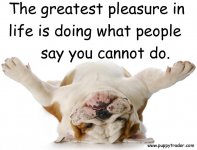greatest pleasure.jpg