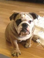 Guinness7Months020112.webp