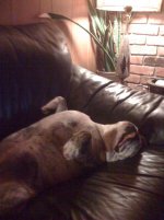 IMG_0200.jpg IMG_0200.jpg
