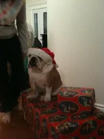 oliverSanta.webp