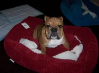 100_8167.webp