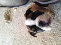 photo.webp