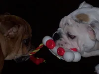 100_8251.webp